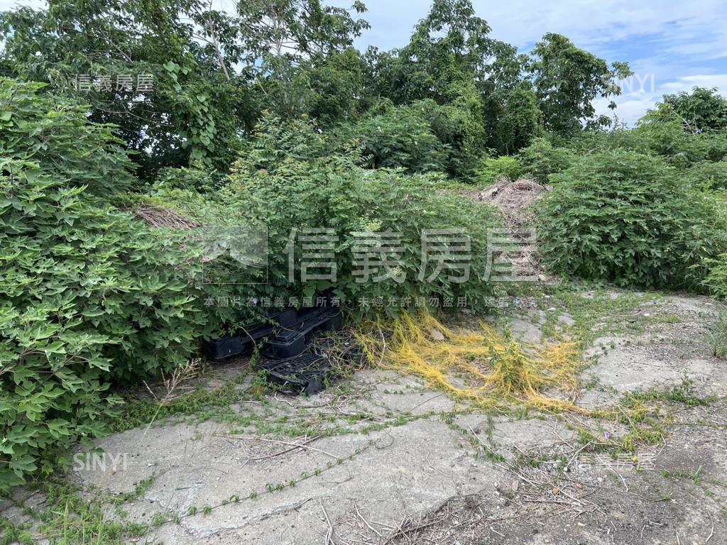 新營交流道願景土地房屋室內格局與周邊環境