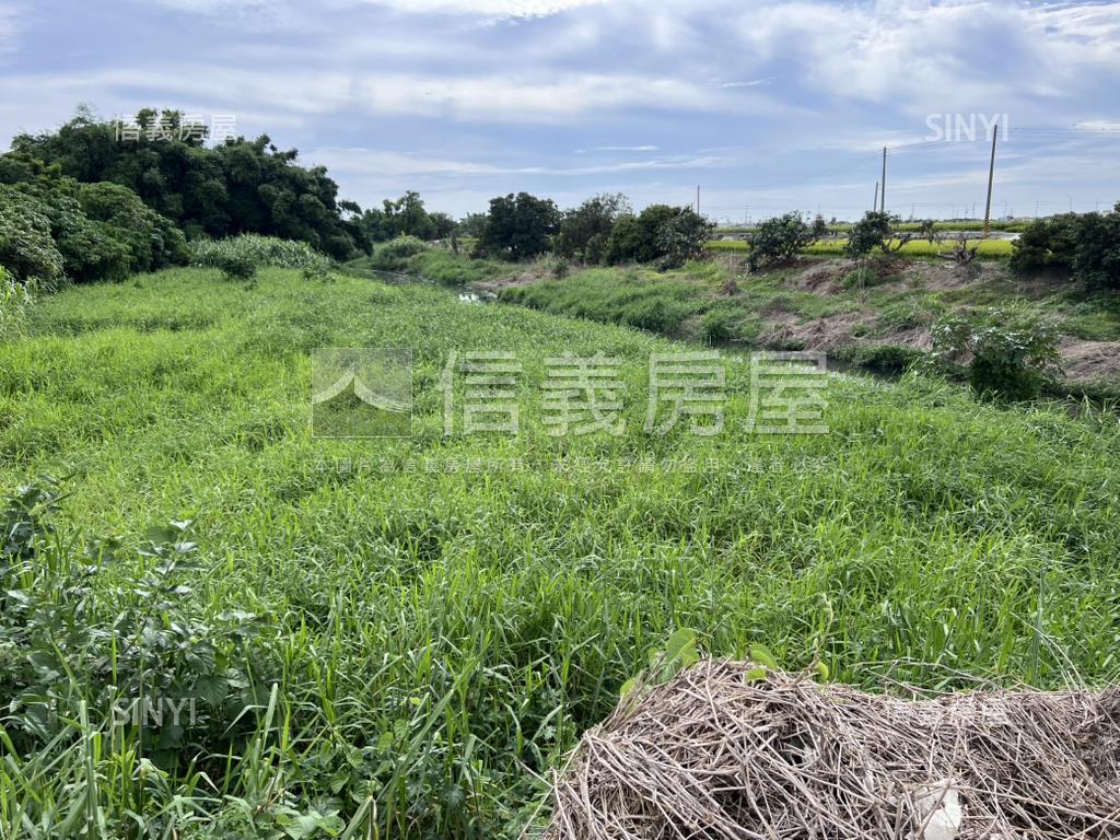 新營交流道願景土地房屋室內格局與周邊環境