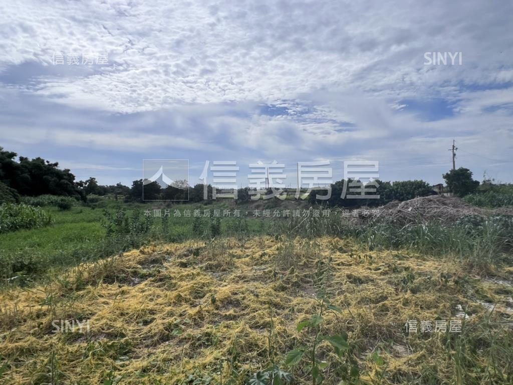 新營交流道願景土地房屋室內格局與周邊環境