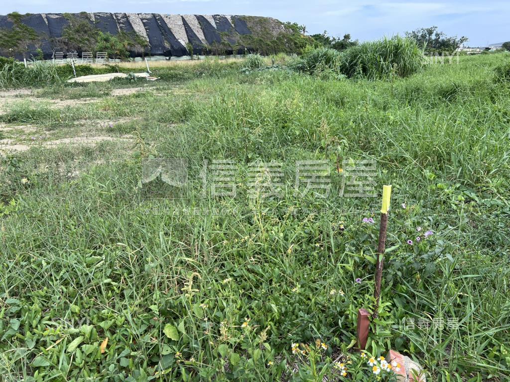新營交流道願景土地房屋室內格局與周邊環境