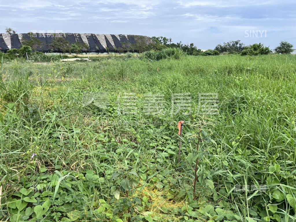 新營交流道願景土地房屋室內格局與周邊環境