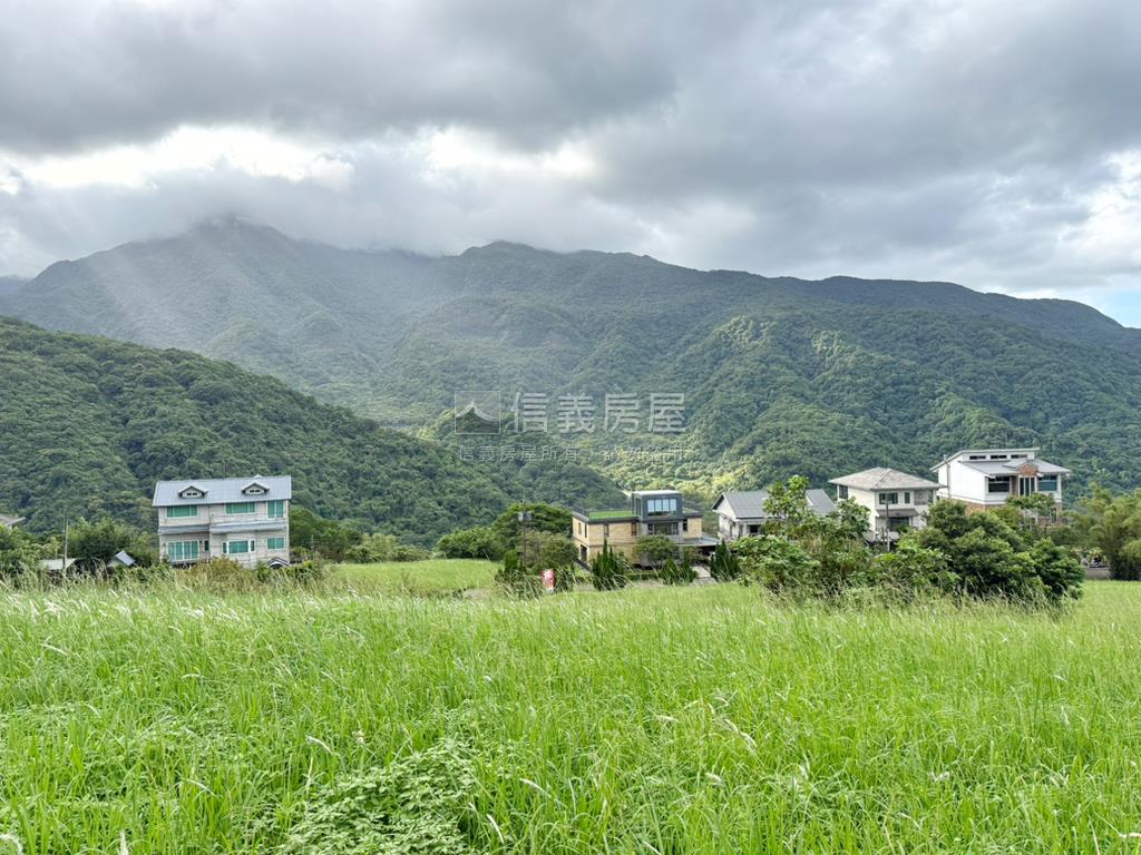 丙建約３１３坪稀有釋出房屋室內格局與周邊環境