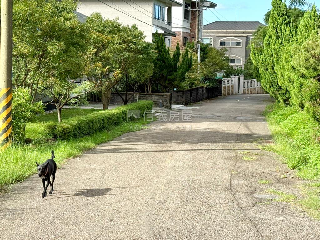 丙建約３１３坪稀有釋出房屋室內格局與周邊環境