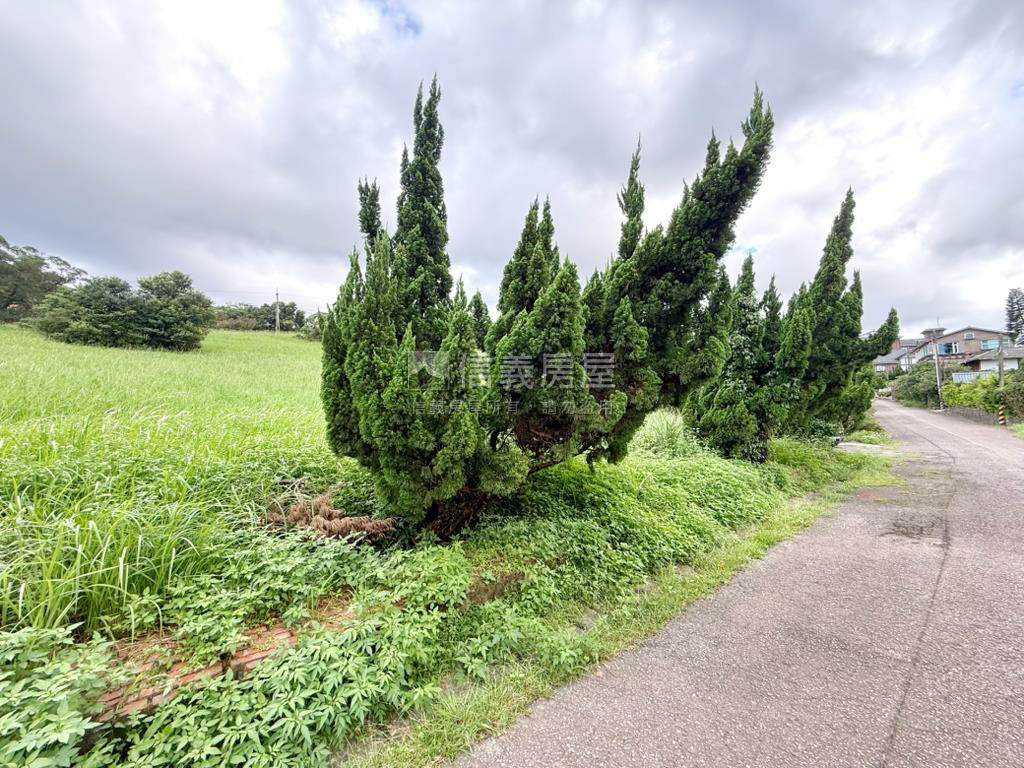 丙建約３１３坪稀有釋出房屋室內格局與周邊環境