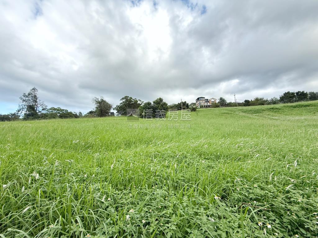 丙建約３１３坪稀有釋出房屋室內格局與周邊環境