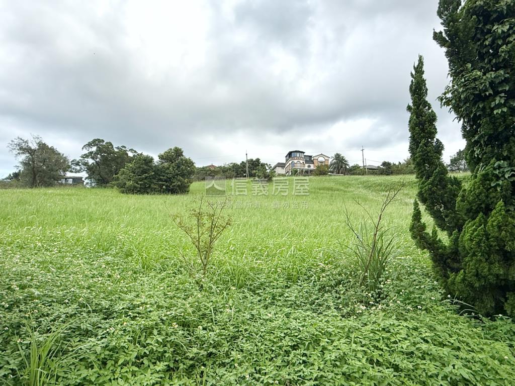 丙建約３１３坪稀有釋出房屋室內格局與周邊環境