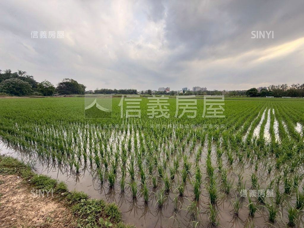 都市計畫內美農地未來可期房屋室內格局與周邊環境