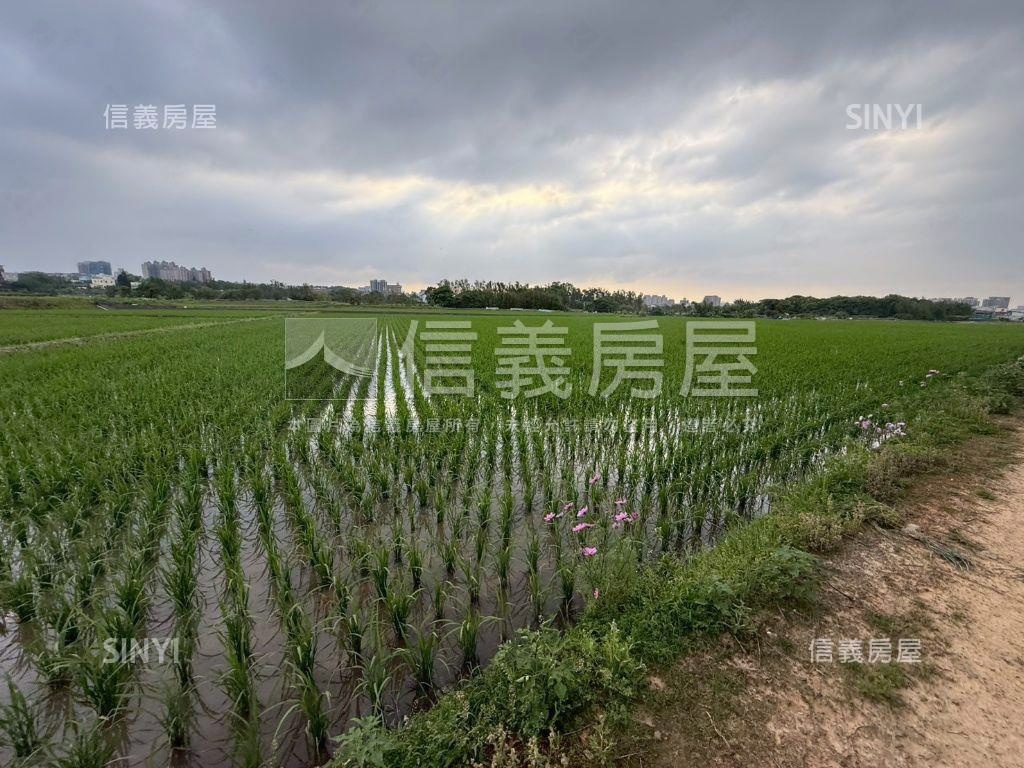 都市計畫內美農地未來可期房屋室內格局與周邊環境
