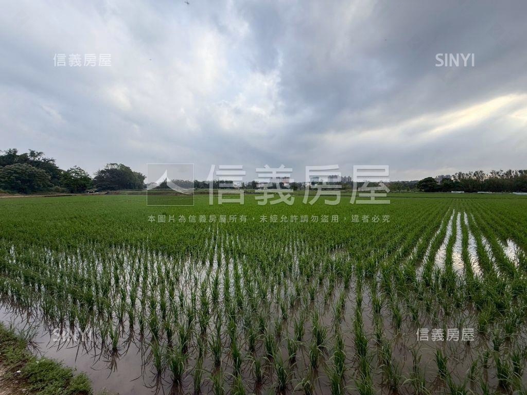 都市計畫內美農地未來可期房屋室內格局與周邊環境