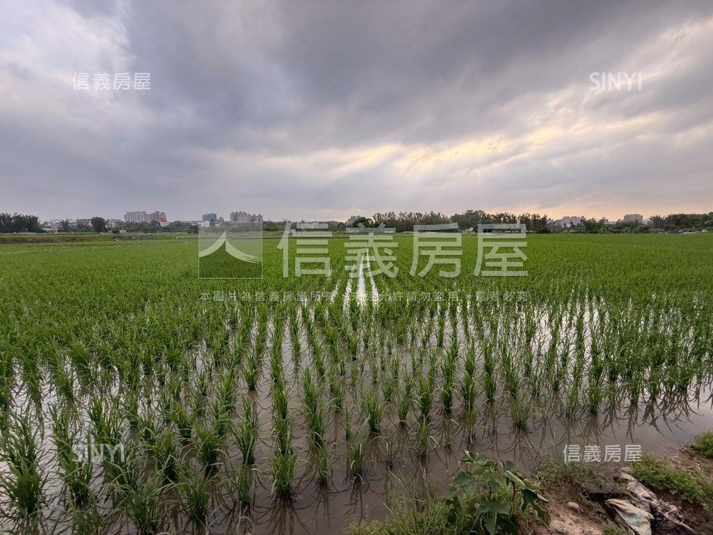 都市計畫內美農地未來可期房屋室內格局與周邊環境