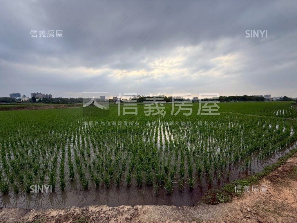 都市計畫內美農地未來可期房屋室內格局與周邊環境