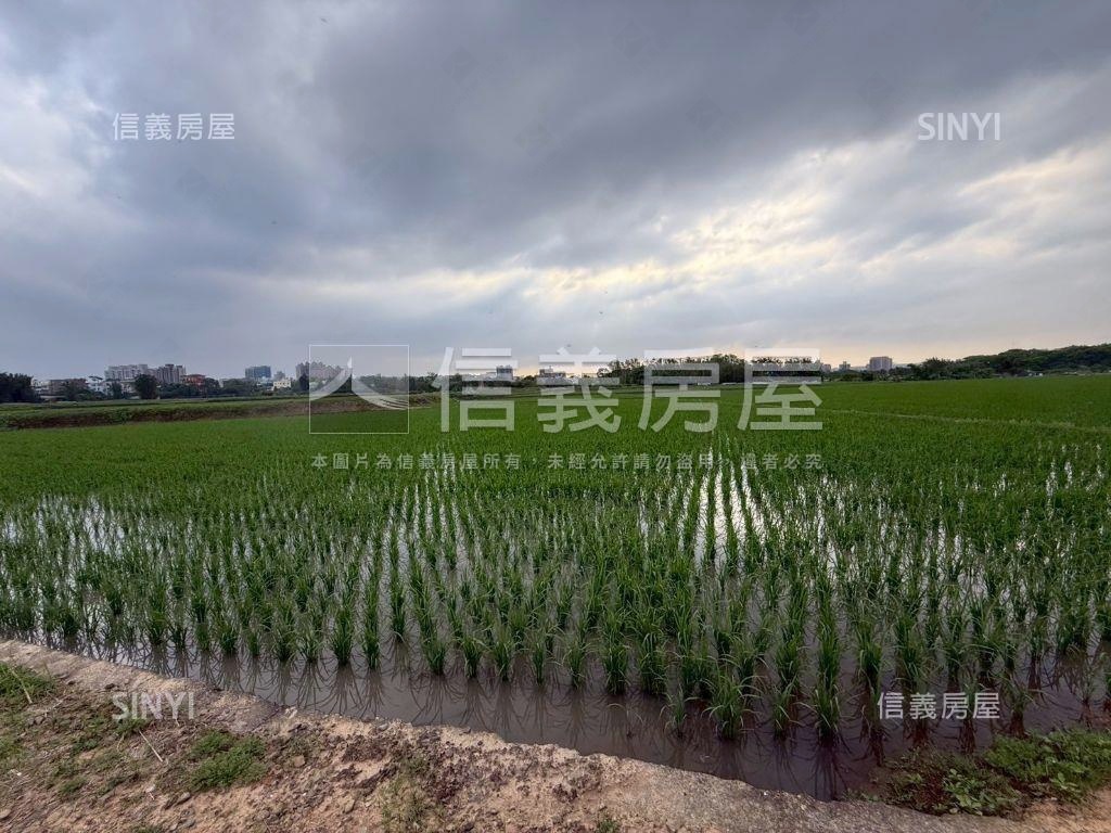 都市計畫內美農地未來可期房屋室內格局與周邊環境