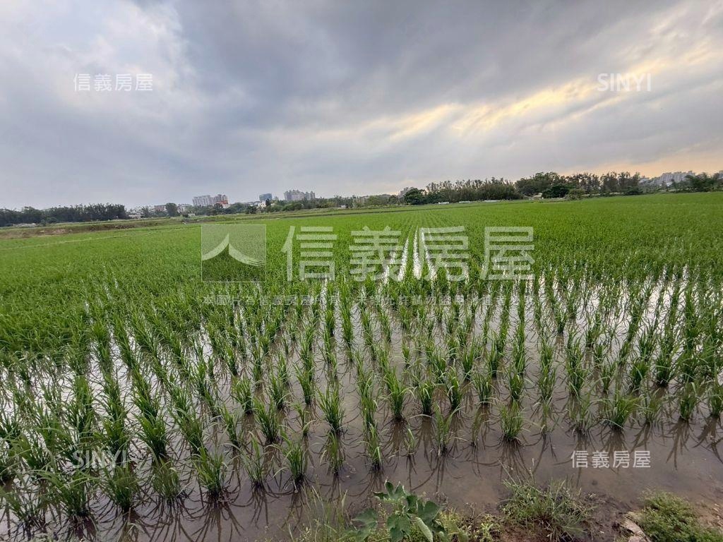 都市計畫內美農地未來可期房屋室內格局與周邊環境