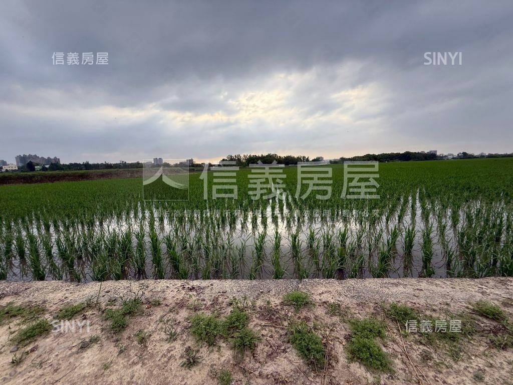 都市計畫內美農地未來可期房屋室內格局與周邊環境