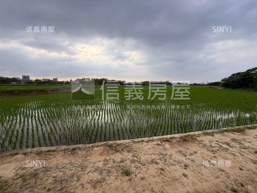都市計畫內美農地未來可期房屋室內格局與周邊環境