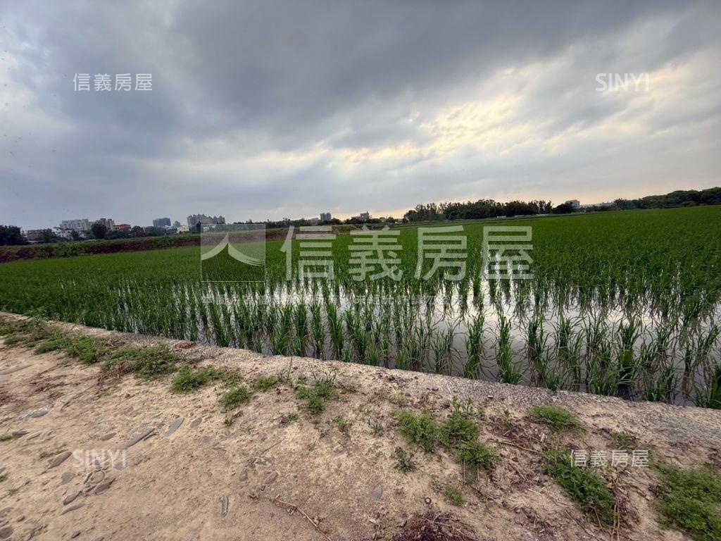 都市計畫內美農地未來可期房屋室內格局與周邊環境