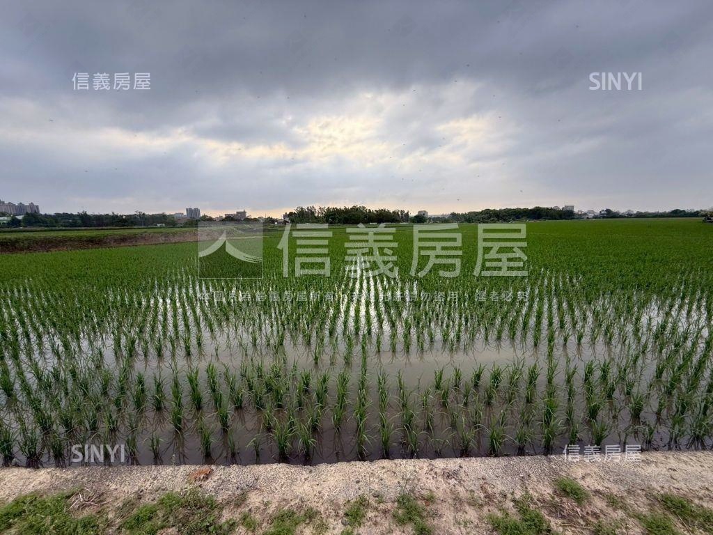 都市計畫內美農地未來可期房屋室內格局與周邊環境