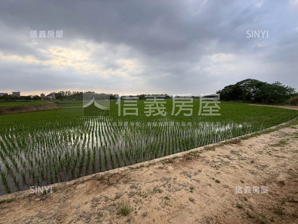 都市計畫內美農地未來可期房屋室內格局與周邊環境