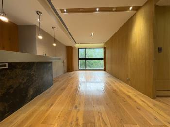 國美Ａ１夢幻四房車位