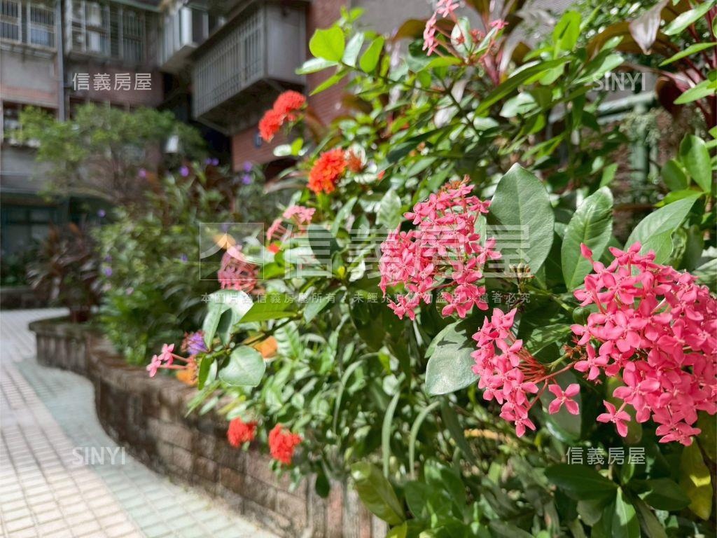 ★大安國宅‧黃金庭園三房房屋室內格局與周邊環境