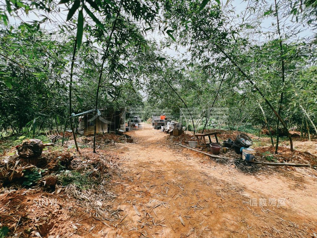 豐原綠意盎然千坪優質農地房屋室內格局與周邊環境