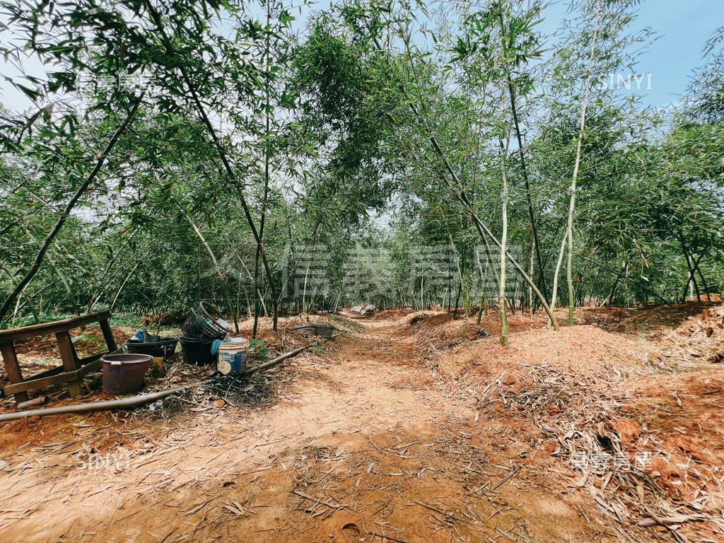 豐原綠意盎然千坪優質農地房屋室內格局與周邊環境