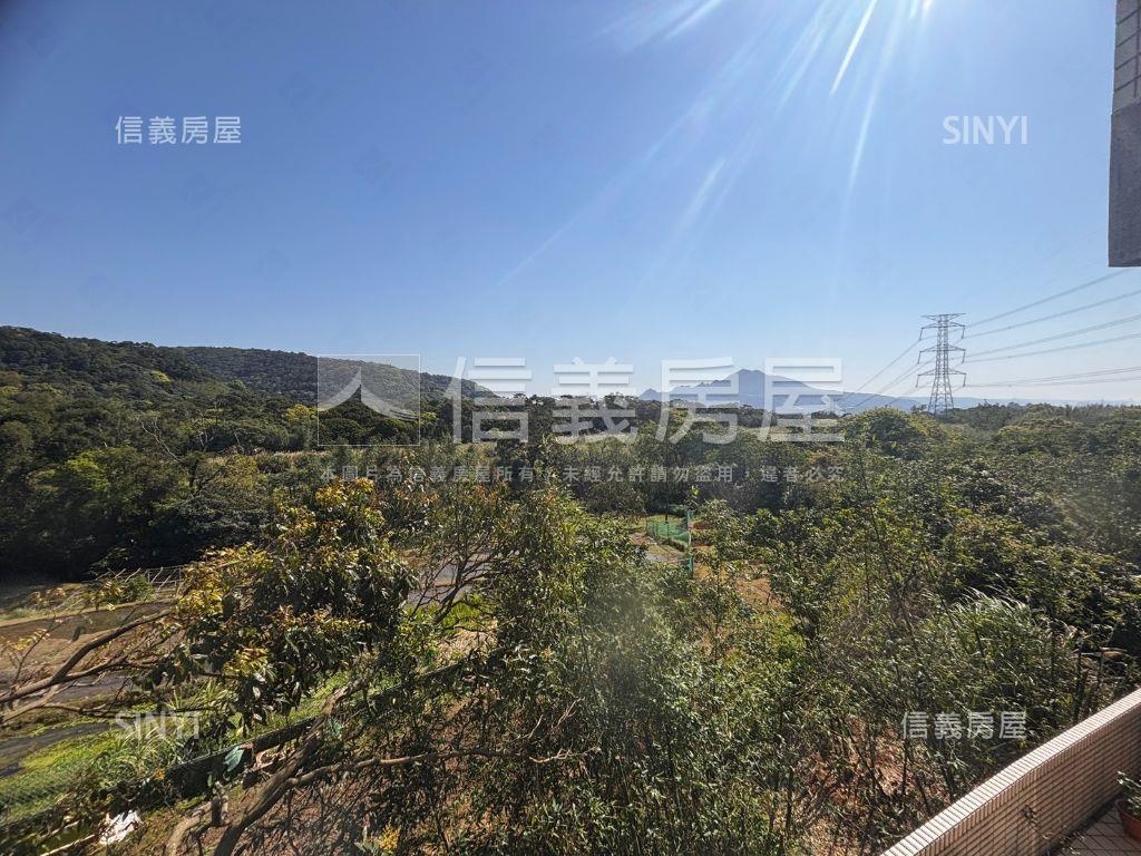 稀有獨棟別墅大空間房屋室內格局與周邊環境