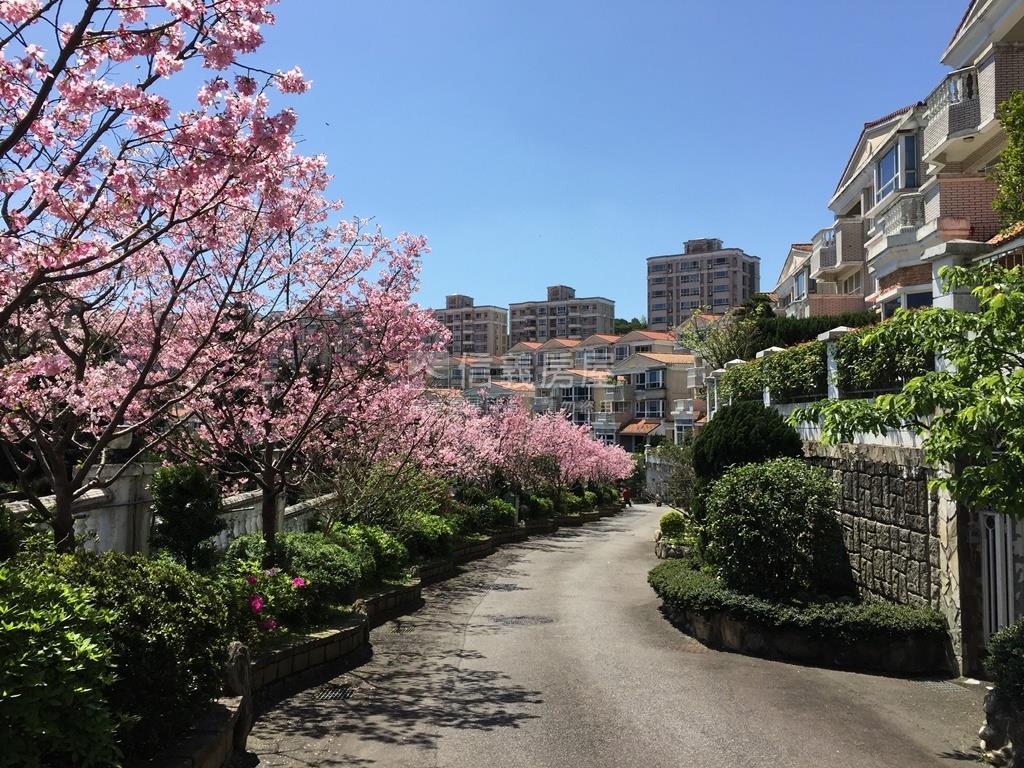 專任★綠中海Ｉ期三房美景房屋室內格局與周邊環境