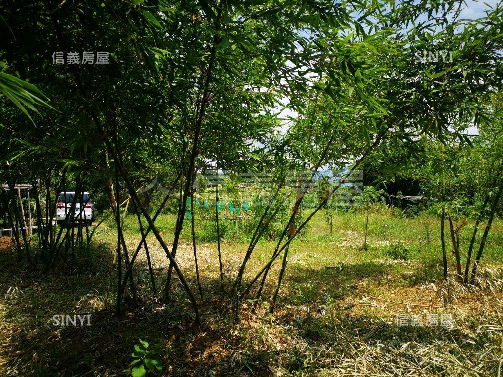 三芝平坦農地房屋室內格局與周邊環境