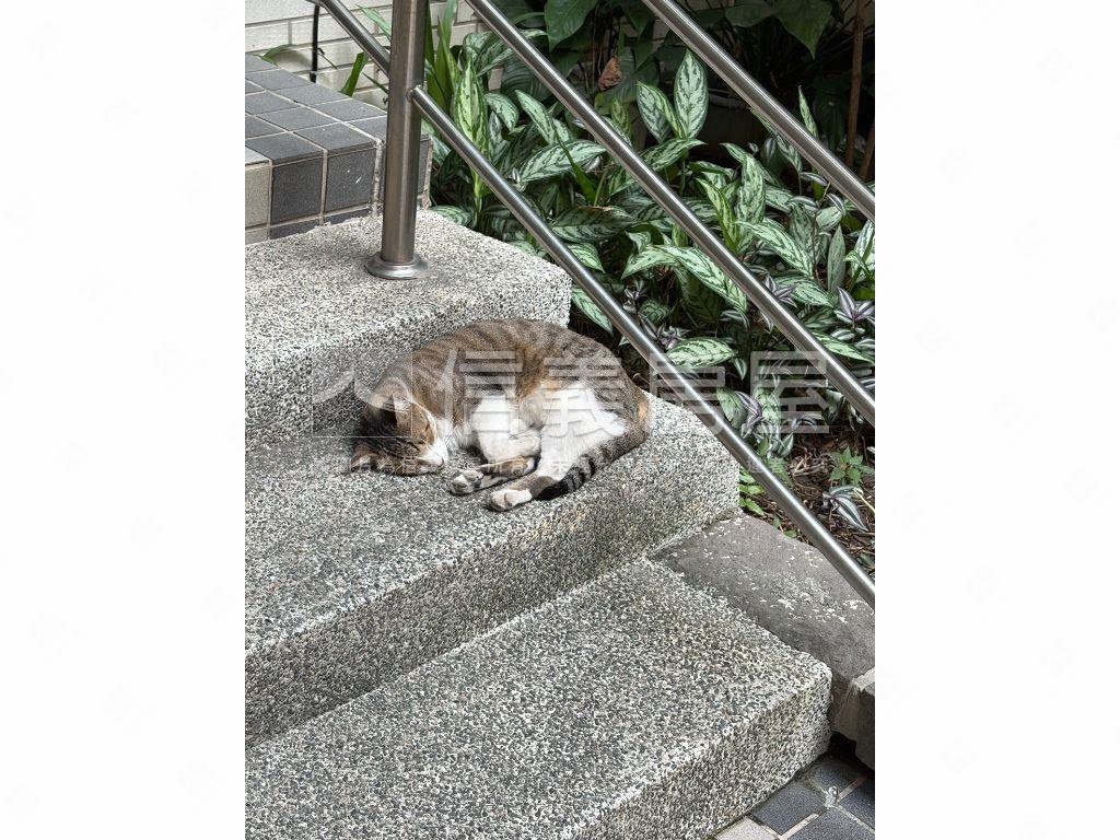 通豪芳鄰美美兩房車位採光房屋室內格局與周邊環境