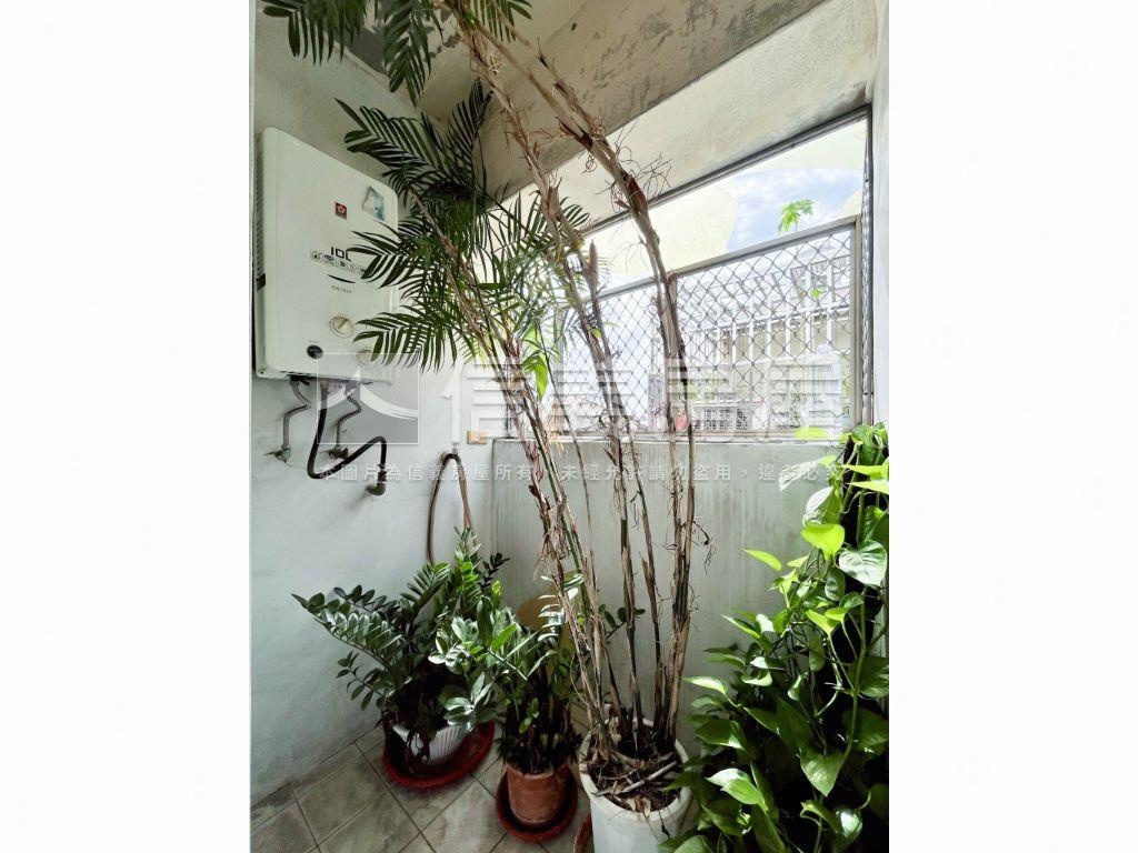 通豪芳鄰美美兩房車位採光房屋室內格局與周邊環境