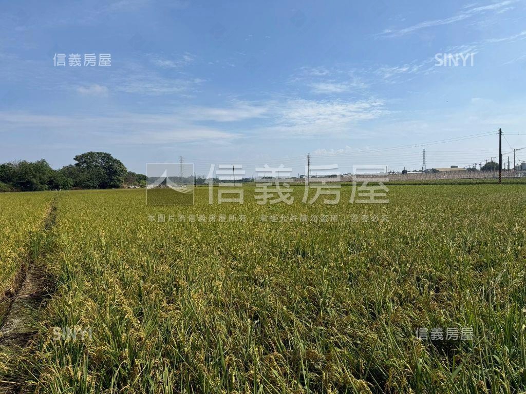 二林優質方正農地房屋室內格局與周邊環境