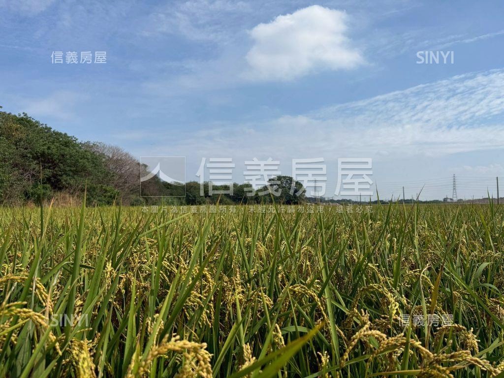 二林優質方正農地房屋室內格局與周邊環境