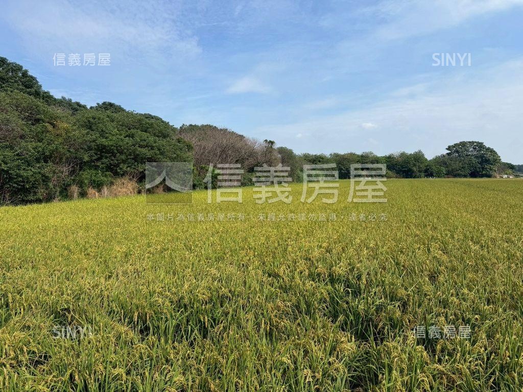 二林優質方正農地房屋室內格局與周邊環境