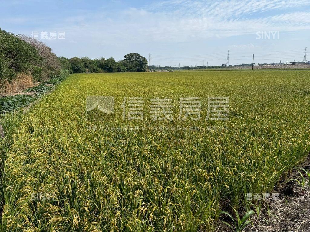 二林優質方正農地房屋室內格局與周邊環境