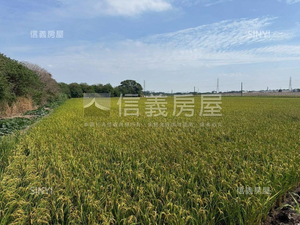 二林優質方正農地房屋室內格局與周邊環境