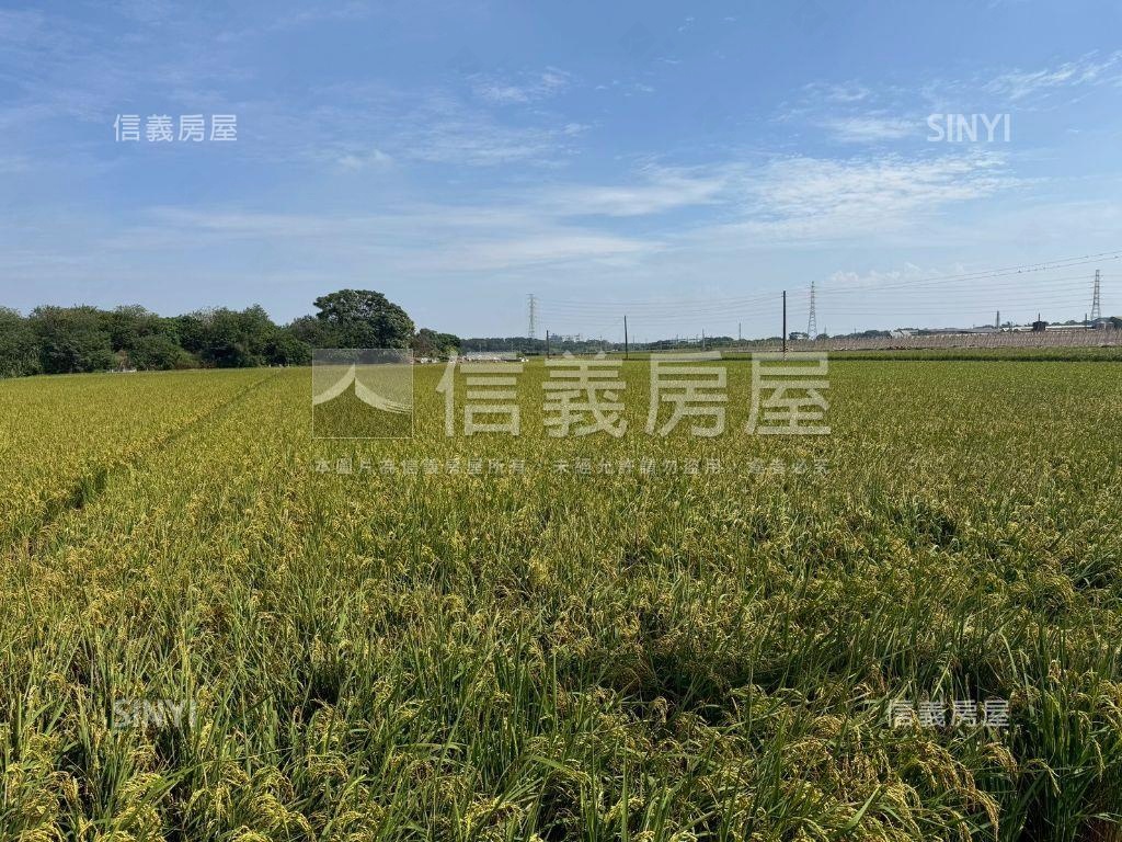 二林優質方正農地房屋室內格局與周邊環境