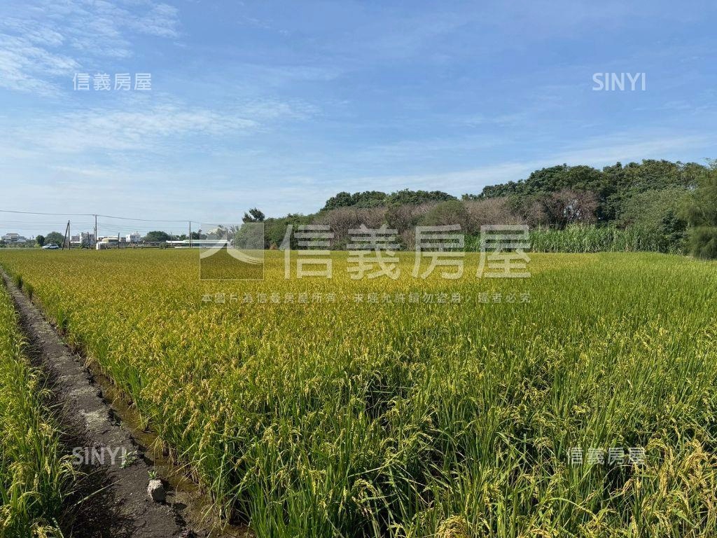 二林優質方正農地房屋室內格局與周邊環境