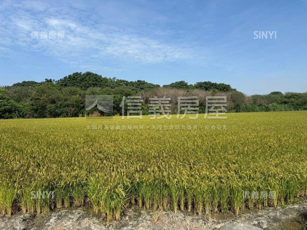 二林優質方正農地房屋室內格局與周邊環境