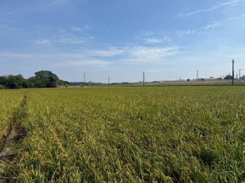 二林優質方正農地