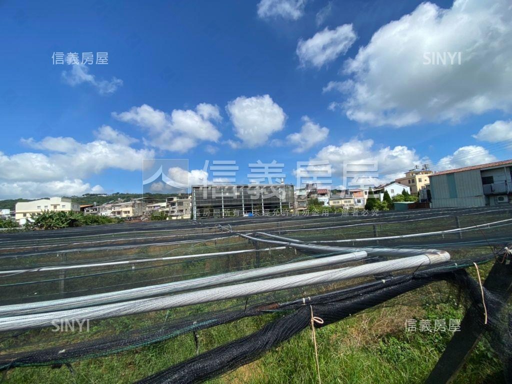 新社方正大面寬土地２房屋室內格局與周邊環境