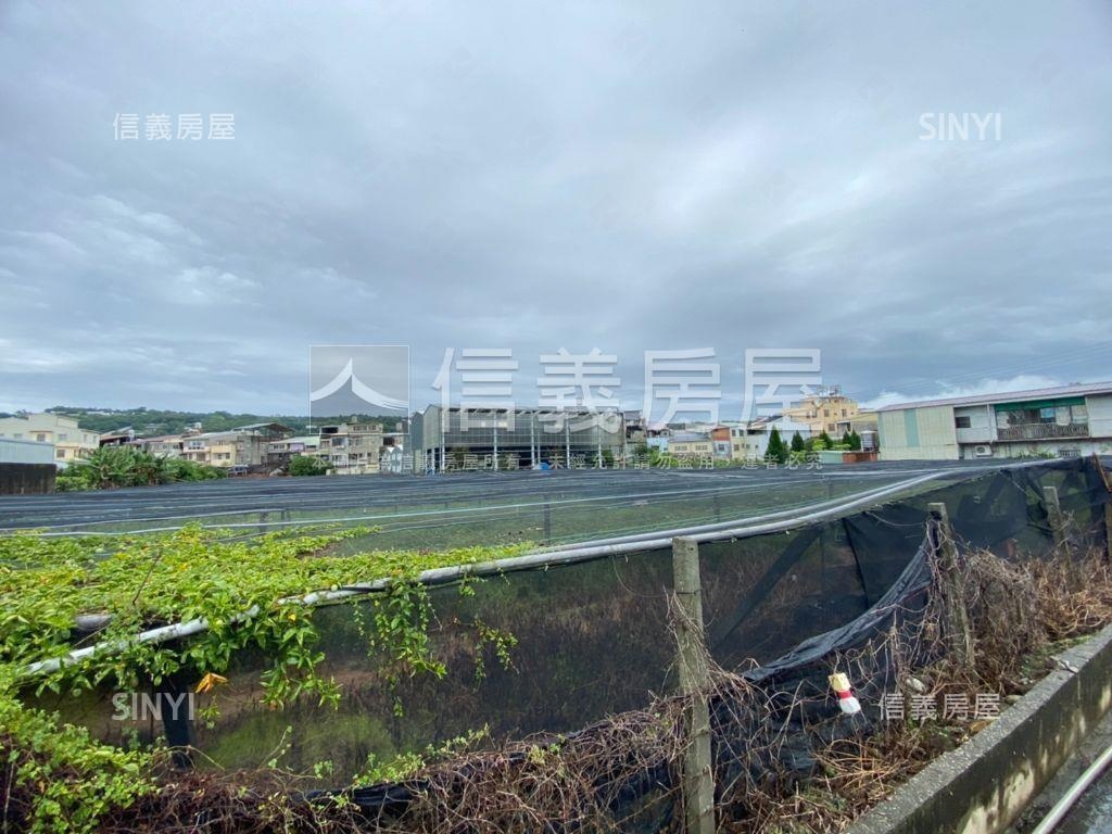 新社方正大面寬土地２房屋室內格局與周邊環境