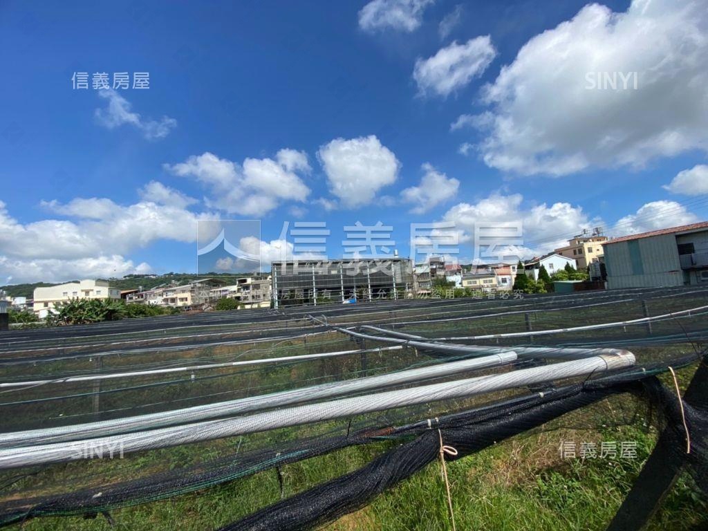 新社方正大面寬土地２房屋室內格局與周邊環境