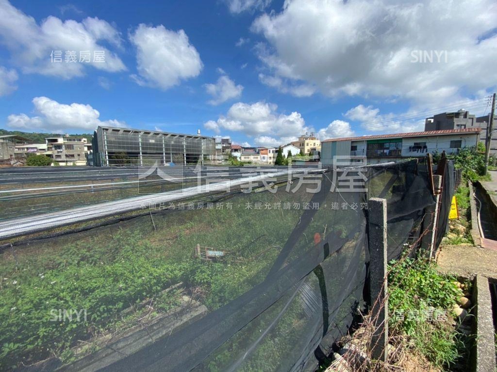 新社方正大面寬土地２房屋室內格局與周邊環境