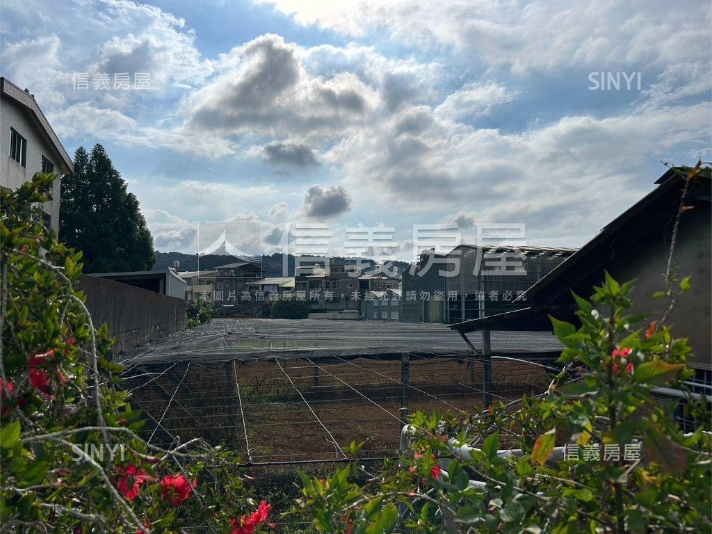 新社方正大面寬土地２房屋室內格局與周邊環境