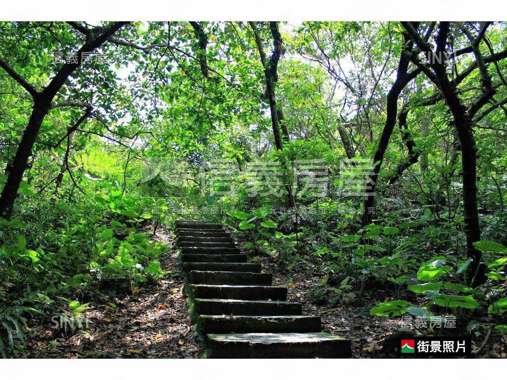 大安。公園。捷運。金雞母房屋室內格局與周邊環境