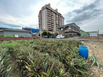大寮江山Ｂ都內農地