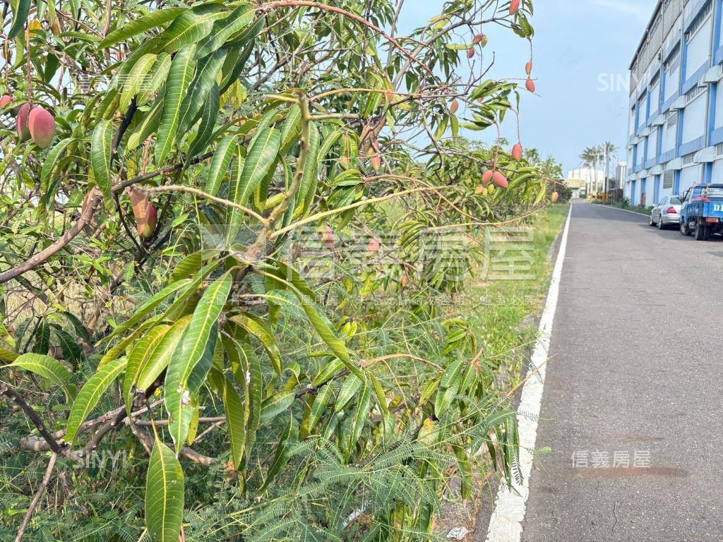 湖內近中正路二段農地房屋室內格局與周邊環境