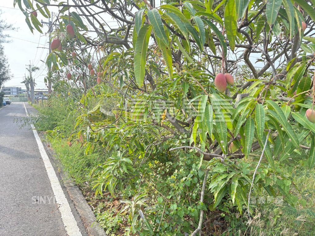 湖內近中正路二段農地房屋室內格局與周邊環境