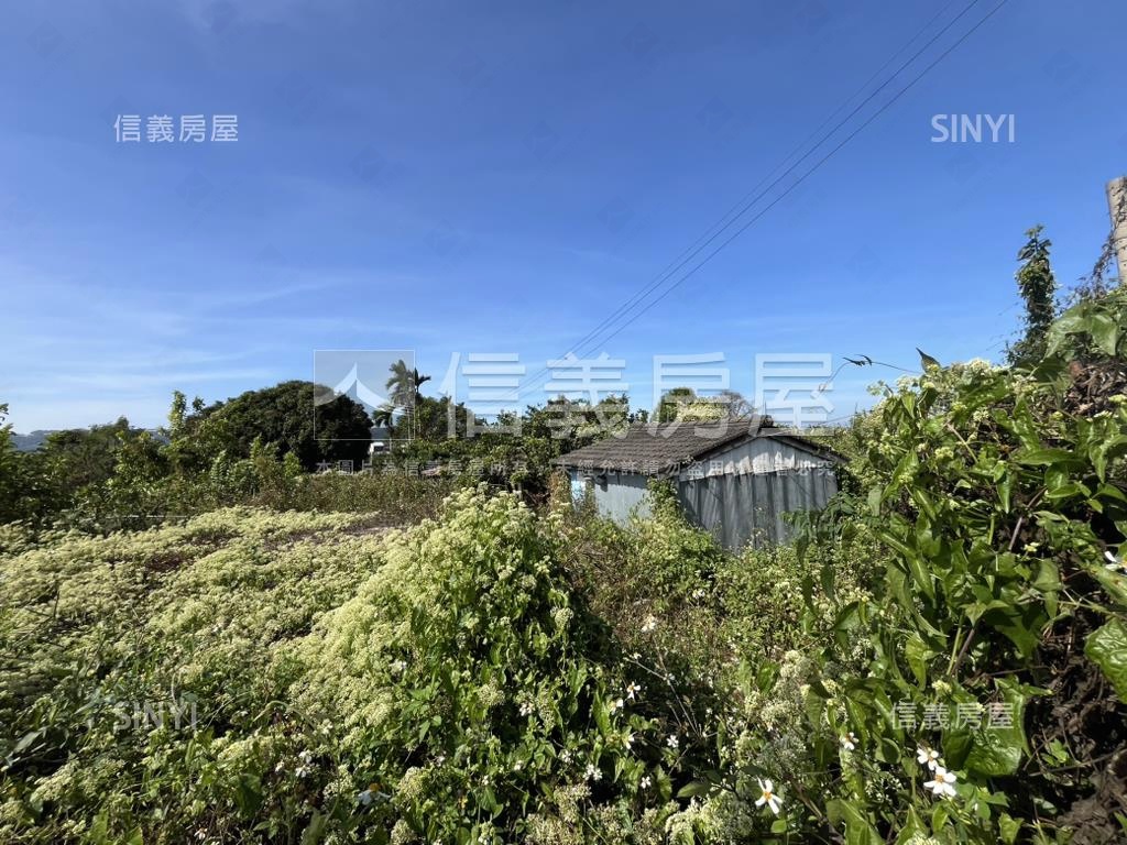 新社國小旁都市計畫土地房屋室內格局與周邊環境